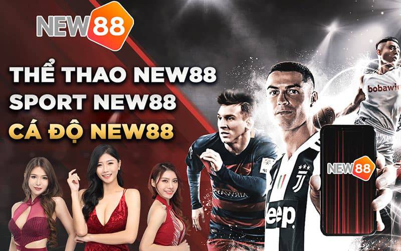 Đối chiếu thông tin thay vì suy đoán - Eu88